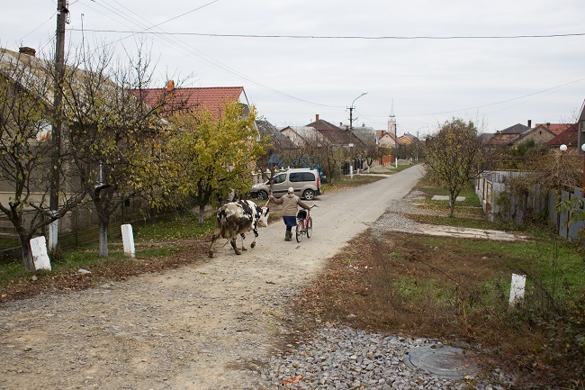 Соломоново – село тихе і спокійне